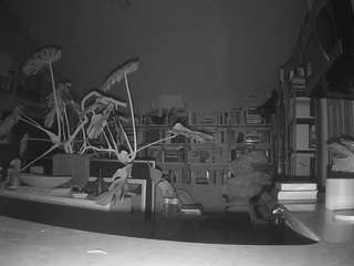 voyeurcam bridgetleewalters 02